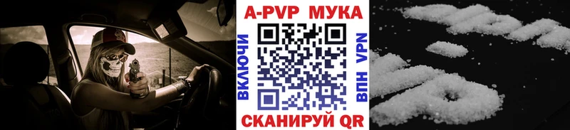 A-PVP СК КРИС  Великий Устюг 
