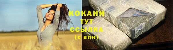 кокс Богородицк