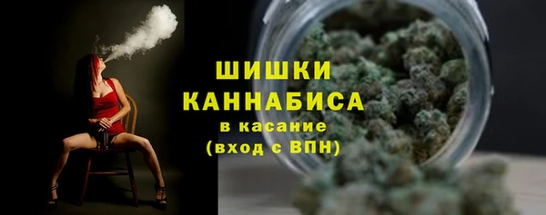 кокс Богородицк