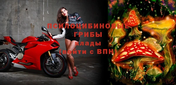 спайс Богданович