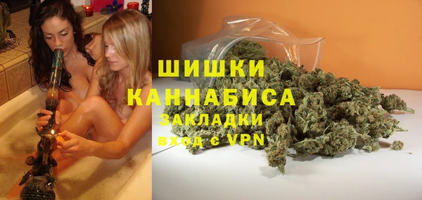 кокс Богородицк